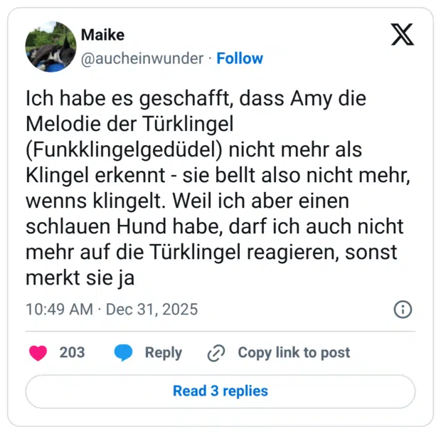 Ich habe es geschafft, dass Amy die Melodie der Türklingel (Funkklingelgedüdel) nicht mehr als Klingel erkennt - sie bellt also nicht mehr, wenns klingelt. Weil ich aber einen schlauen Hund habe, darf ich auch nicht mehr auf die Türklingel reagieren, sonst merkt sie ja