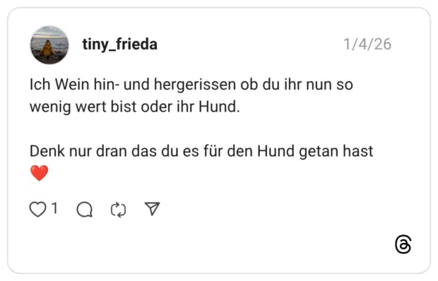 Ich Wein hin- und hergerissen ob du ihr nun so wenig wert bist oder ihr Hund. Denk nur dran das du es für den Hund getan hast