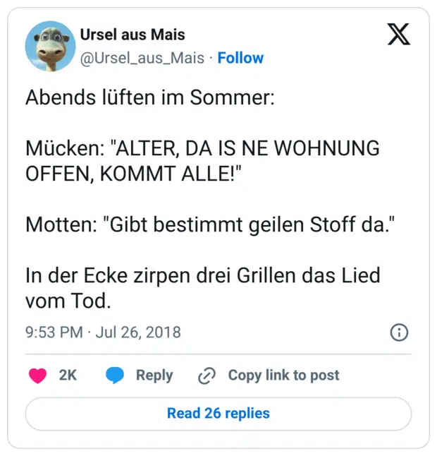 Abends lüften im Sommer: Mücken: "ALTER, DA IS NE WOHNUNG OFFEN, KOMMT ALLE!" Motten: "Gibt bestimmt geilen Stoff da." In der Ecke zirpen drei Grillen das Lied vom Tod.