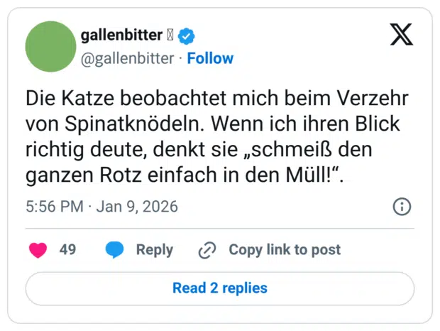 Die Katze beobachtet mich beim Verzehr von Spinatknödeln. Wenn ich ihren Blick richtig deute, denkt sie „schmeiß den ganzen Rotz einfach in den Müll!".