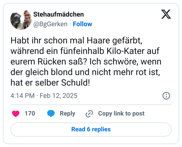 Habt ihr schon mal Haare gefärbt, während ein fünfeinhalb Kilo-Kater auf eurem Rücken saß? Ich schwöre, wenn der gleich blond und nicht mehr rot ist, hat er selber Schuld!