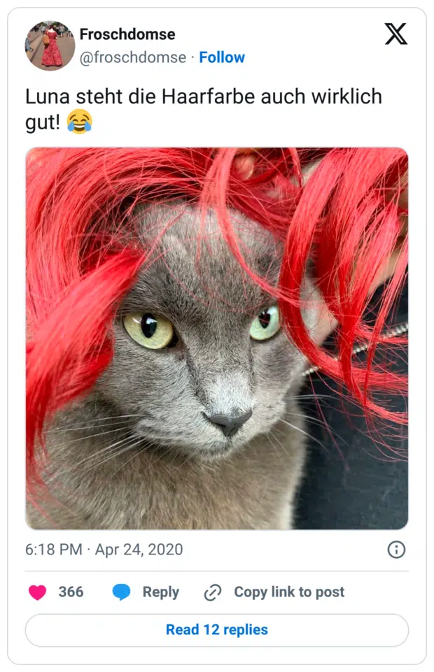 Luna steht die Haarfarbe auch wirklich gut! 😂