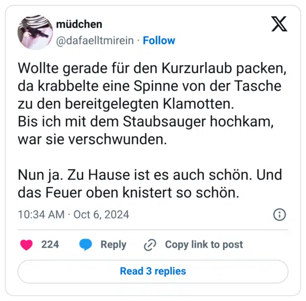 Wollte gerade für den Kurzurlaub packen, da krabbelte eine Spinne von der Tasche zu den bereitgelegten Klamotten. Bis ich mit dem Staubsauger hochkam, war sie verschwunden. Nun ja. Zu Hause ist es auch schön. Und das Feuer oben knistert so schön.