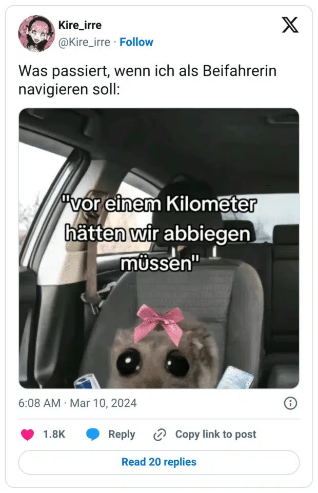 Was passiert, wenn ich als Beifahrerin navigieren soll: