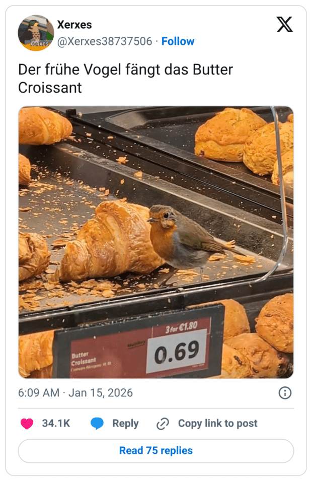 Der frühe Vogel fängt das Butter Croissant