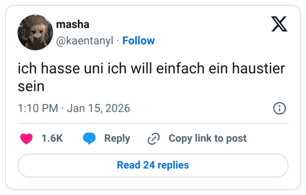 ich hasse uni ich will einfach ein haustier sein