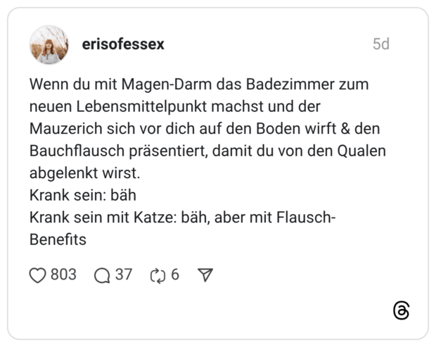 Wenn du mit Magen-Darm das Badezimmer zum neuen Lebensmittelpunkt machst und der Mauzerich sich vor dich auf den Boden wirft & den Bauchflausch präsentiert, damit du von den Qualen abgelenkt wirst. Krank sein: bäh Krank sein mit Katze: bäh, aber mit Flausch-Benefits
