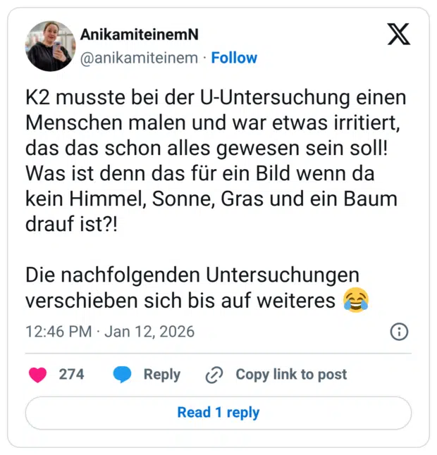 K2 musste bei der U-Untersuchung einen Menschen malen und war etwas irritiert, das das schon alles gewesen sein soll! Was ist denn das für ein Bild wenn da kein Himmel, Sonne, Gras und ein Baum drauf ist?! Die nachfolgenden Untersuchungen verschieben sich bis auf weiteres