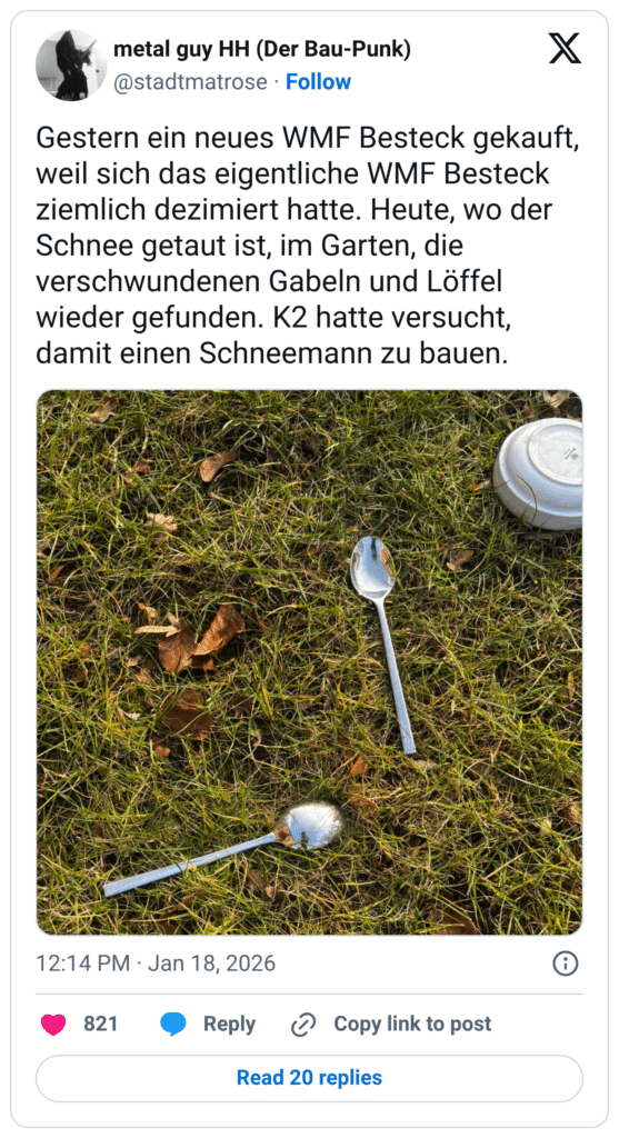 Gestern ein neues WMF Besteck gekauft, weil sich das eigentliche WMF Besteck ziemlich dezimiert hatte. Heute, wo der Schnee getaut ist, im Garten, die verschwundenen Gabeln und Löffel wieder gefunden. K2 hatte versucht, damit einen Schneemann zu bauen.