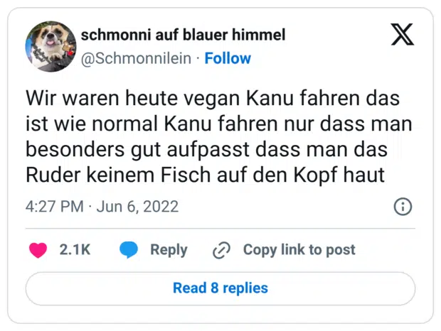 Wir waren heute vegan Kanu fahren das ist wie normal Kanu fahren nur dass man besonders gut aufpasst dass man das Ruder keinem Fisch auf den Kopf haut