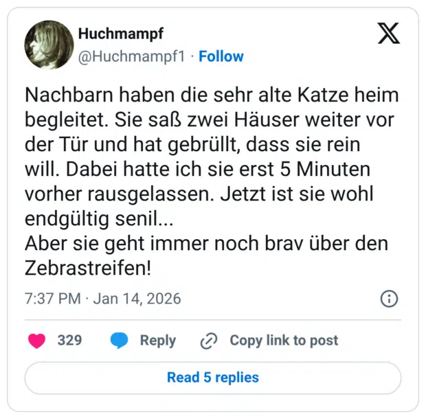 Nachbarn haben die sehr alte Katze heim begleitet. Sie saß zwei Häuser weiter vor der Tür und hat gebrüllt, dass sie rein will. Dabei hatte ich sie erst 5 Minuten vorher rausgelassen. Jetzt ist sie wohl endgültig senil... Aber sie geht immer noch brav über den Zebrastreifen!