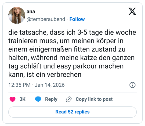die tatsache, dass ich 3-5 tage die woche trainieren muss, um meinen körper in einem einigermaßen fitten zustand zu halten, während meine katze den ganzen tag schläft und easy parkour machen kann, ist ein verbrechen