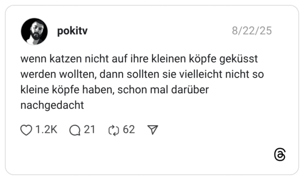 wenn katzen nicht auf ihre kleinen köpfe geküsst werden wollten, dann sollten sie vielleicht nicht so kleine köpfe haben, schon mal darüber nachgedacht