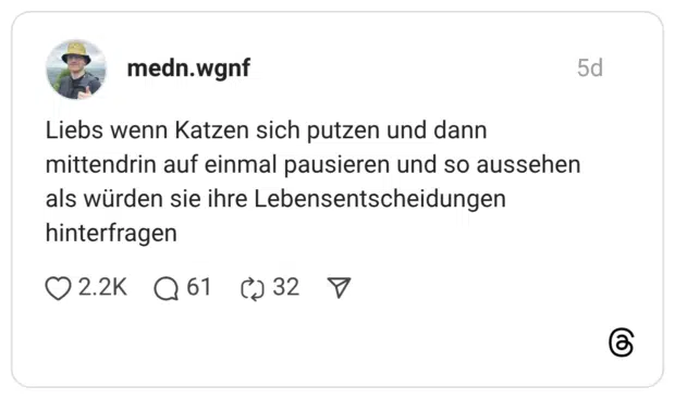 Liebs wenn Katzen sich putzen und dann mittendrin auf einmal pausieren und so aussehen als würden sie ihre Lebensentscheidungen hinterfragen