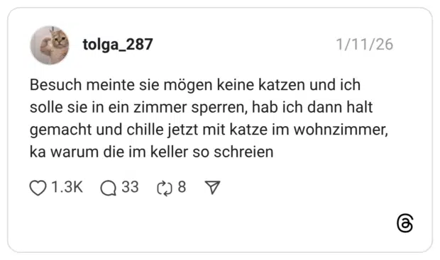 Besuch meinte sie mögen keine katzen und ich solle sie in ein zimmer sperren, hab ich dann halt gemacht und chille jetzt mit katze im wohnzimmer, ka warum die im keller so schreien