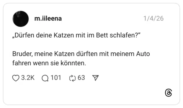 „Dürfen deine Katzen mit im Bett schlafen?“ Bruder, meine Katzen dürften mit meinem Auto fahren wenn sie könnten.