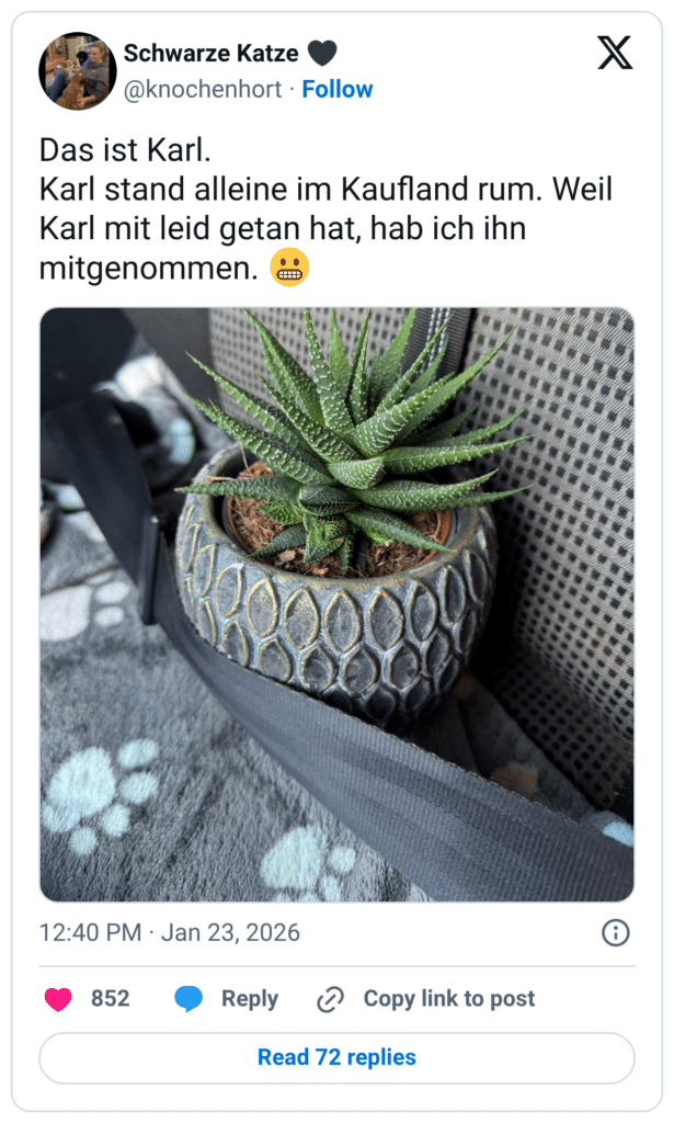 Das ist Karl. Karl stand alleine im Kaufland rum. Weil Karl mit leid getan hat, hab ich ihn mitgenommen.