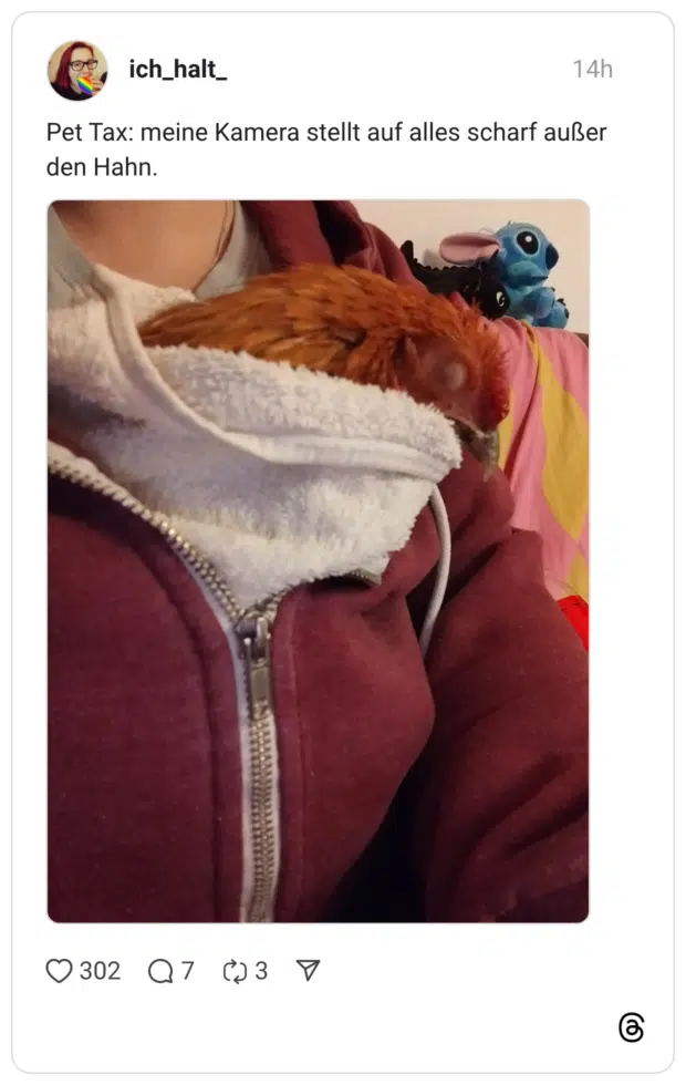 Pet Tax: meine Kamera stellt auf alles scharf außer den Hahn.