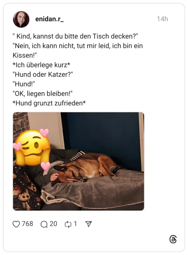 " Kind, kannst du bitte den Tisch decken?" "Nein, ich kann nicht, tut mir leid, ich bin ein Kissen!" *Ich überlege kurz* "Hund oder Katzer?" "Hund!" "OK, liegen bleiben!" *Hund grunzt zufrieden*