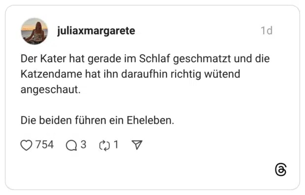 Der Kater hat gerade im Schlaf geschmatzt und die Katzendame hat ihn daraufhin richtig wütend angeschaut. Die beiden führen ein Eheleben.