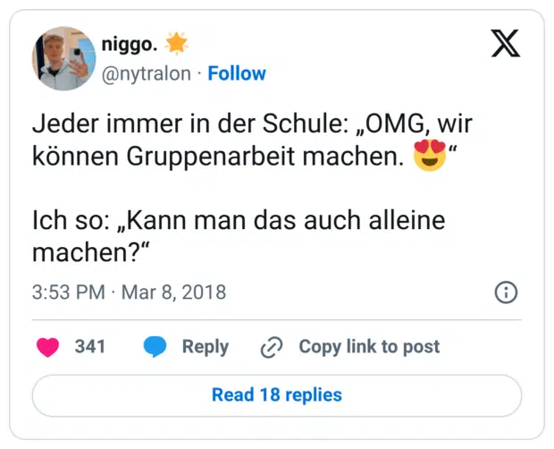 Jeder immer in der Schule: „OMG, wir können Gruppenarbeit machen. 😍“ Ich so: „Kann man das auch alleine machen?“