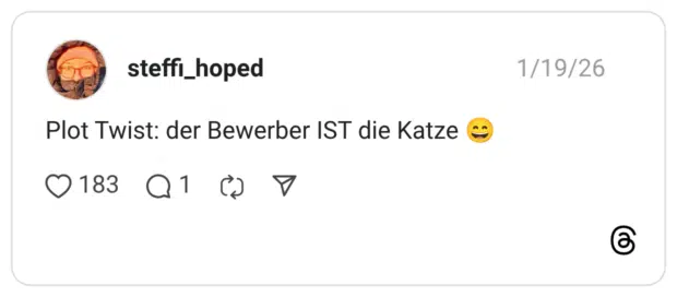 Plot Twist: der Bewerber IST die Katze 😄