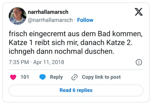 frisch eingecremt aus dem Bad kommen, Katze 1 reibt sich mir, danach Katze 2. ichngeh dann nochmal duschen.