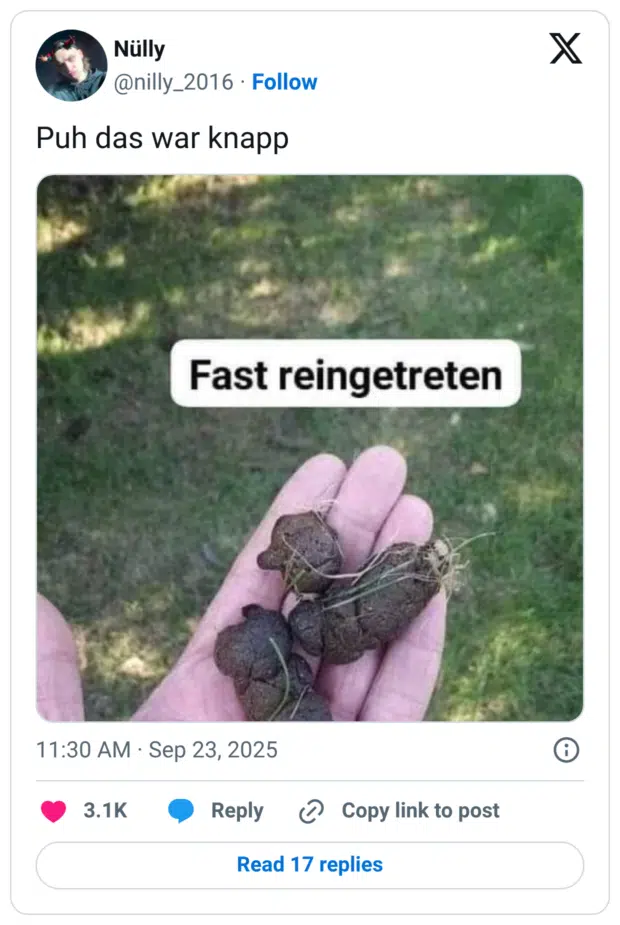 Puh das war knapp