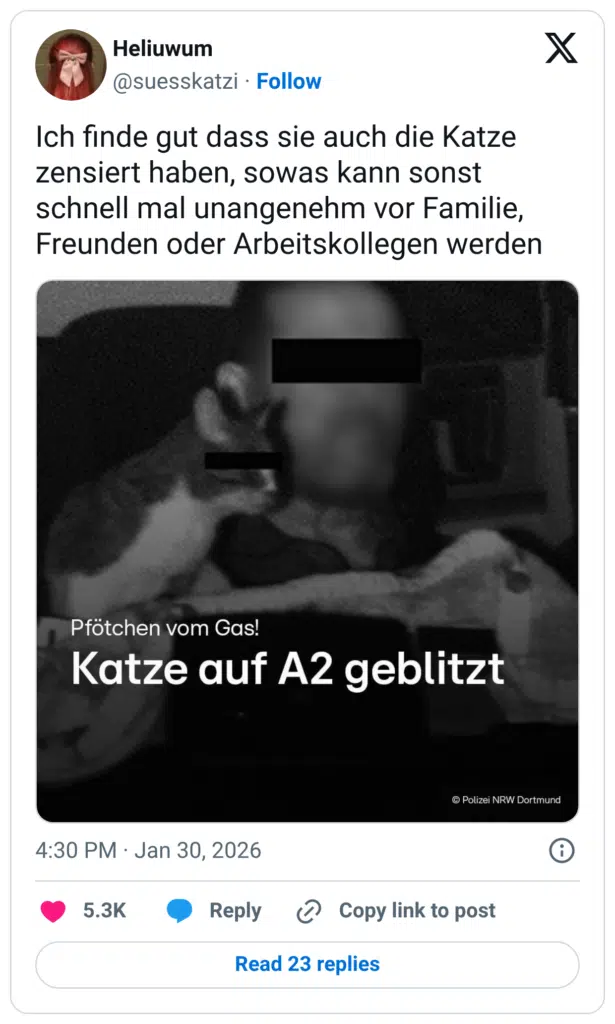 Ich finde gut dass sie auch die Katze zensiert haben, sowas kann sonst schnell mal unangenehm vor Familie, Freunden oder Arbeitskollegen werden