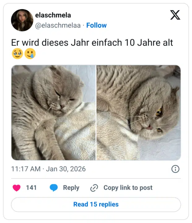 Er wird dieses Jahr einfach 10 Jahre alt 🥹🥲