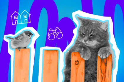 Eine Katze und ein Spatz sitzen auf einem orangefarbenen Gartenzaun und beobachten skeptisch die Umgebung.e Pop-Art-Illustration symbolisiert humorvoll die neugierige Nachbarschaft und das Wachen über die Einhaltung der Mittagsruhe.