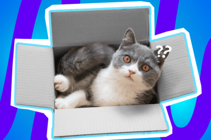 Humorvolle Collage zum Thema Ausmisten, Frühjahrsputz und Ablenkung im Haushalt: Im Zentrum sitzt eine flauschige, grau-weiße Katze gemütlich in einem aufgeschlagenen, leeren Pappkarton. Sie blickt mit großen, bernsteinfarbenen Augen völlig unschuldig und leicht irritiert nach oben in die Kamera. Zwei kleine, schwebende weiße Fragezeichen-Icons neben ihrem Kopf und das Pop-Art-Motiv vor einem markanten blau-violetten Wellen-Hintergrund visualisieren pointiert das klassische Chaos beim Aufräumen, die ständige Ablenkung durch Haustiere oder nostalgische Erinnerungsstücke und den amüsanten Moment, in dem die Kiste für die ausgemusterten Dinge kurzerhand annektiert wird.