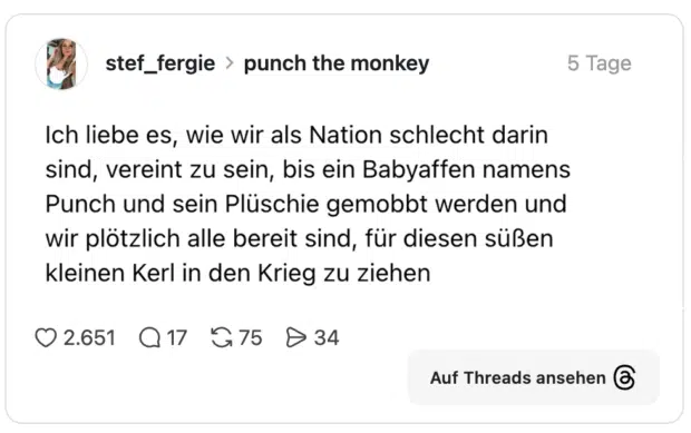 stef_fergie punch the monkey 5 Tage I love how we as a nation suck at being united until a baby monkey named punch and his plushie get bullied and suddenly we’re all willing to go to war for this sweet little guy
