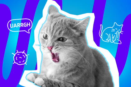 Moderne Grafik einer Katze im Moment der absoluten Empörung (oder kurz vor dem Spucken eines Haarballens). Die Illustration passt perfekt zu humorvollen Beobachtungen über eigensinnige Katzen. Ideal für Blogbeiträge über Katzenverhalten, nächtliche Zoomies und lustige Alltagsgeschichten mit Fellnasen.