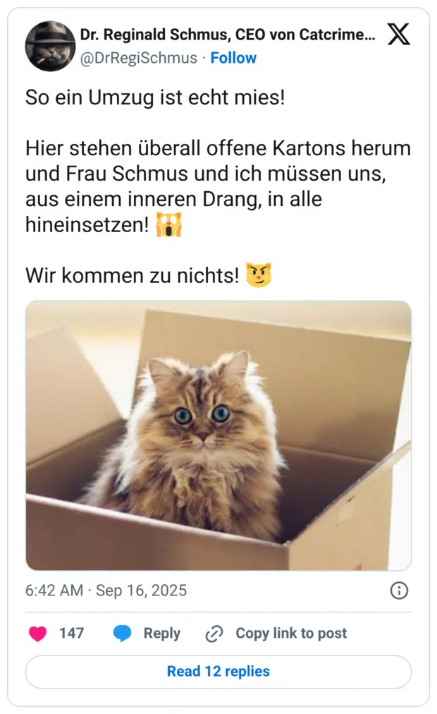 So ein Umzug ist echt mies! Hier stehen überall offene Kartons herum und Frau Schmus und ich müssen uns, aus einem inneren Drang, in alle hineinsetzen! Wir kommen zu nichts!