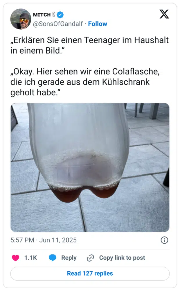 „Erklären Sie einen Teenager im Haushalt in einem Bild.“ „Okay. Hier sehen wir eine Colaflasche, die ich gerade aus dem Kühlschrank geholt habe.“
