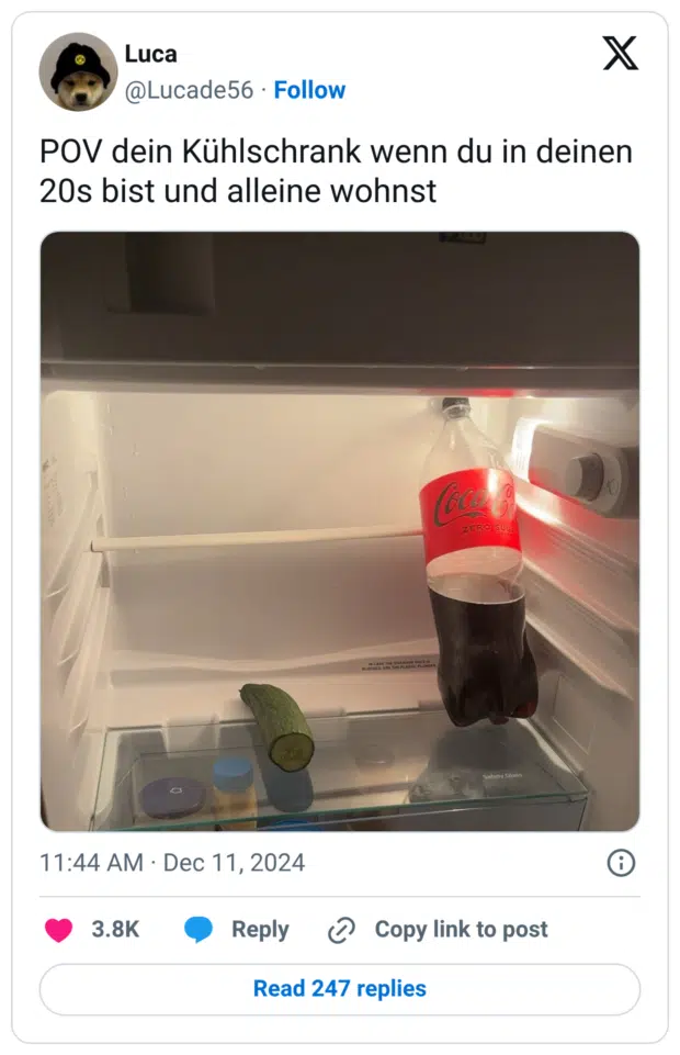 POV dein Kühlschrank wenn du in deinen 20s bist und alleine wohnst