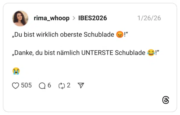 „Du bist wirklich oberste Schublade 😡!“ „Danke, du bist nämlich UNTERSTE Schublade 😂!“ 😭