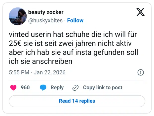 vinted userin hat schuhe die ich will für 25€ sie ist seit zwei jahren nicht aktiv aber ich hab sie auf insta gefunden soll ich sie anschreiben