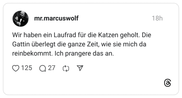 Wir haben ein Laufrad für die Katzen geholt. Die Gattin überlegt die ganze Zeit, wie sie mich da reinbekommt. Ich prangere das an.