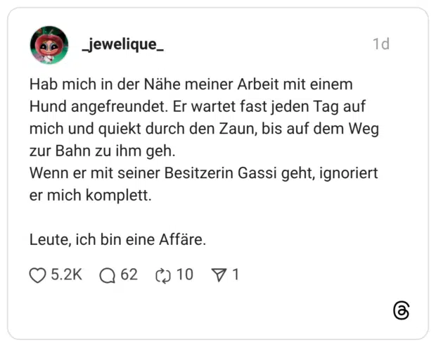 Hab mich in der Nähe meiner Arbeit mit einem Hund angefreundet. Er wartet fast jeden Tag auf mich und quiekt durch den Zaun, bis auf dem Weg zur Bahn zu ihm geh. Wenn er mit seiner Besitzerin Gassi geht, ignoriert er mich komplett. Leute, ich bin eine Affäre.