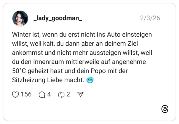 Winter ist, wenn du erst nicht ins Auto einsteigen willst, weil kalt, du dann aber an deinem Ziel ankommst und nicht mehr aussteigen willst, weil du den Innenraum mittlerweile auf angenehme 50°C geheizt hast und dein Popo mit der Sitzheizung Liebe macht. 🥶