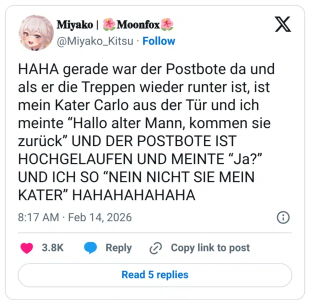 HAHA gerade war der Postbote da und als er die Treppen wieder runter ist, ist mein Kater Carlo aus der Tür und ich meinte “Hallo alter Mann, kommen sie zurück” UND DER POSTBOTE IST HOCHGELAUFEN UND MEINTE “Ja?” UND ICH SO “NEIN NICHT SIE MEIN KATER” HAHAHAHAHAHA