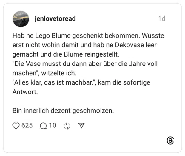 Hab ne Lego Blume geschenkt bekommen. Wusste erst nicht wohin damit und hab ne Dekovase leer gemacht und die Blume reingestellt. "Die Vase musst du dann aber über die Jahre voll machen", witzelte ich. "Alles klar, das ist machbar.", kam die sofortige Antwort. Bin innerlich dezent geschmolzen.
