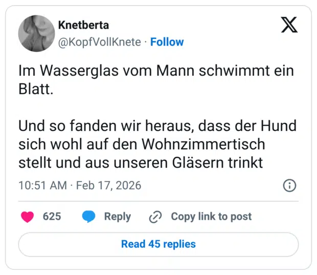 Im Wasserglas vom Mann schwimmt ein Blatt. Und so fanden wir heraus, dass der Hund sich wohl auf den Wohnzimmertisch stellt und aus unseren Gläsern trinkt