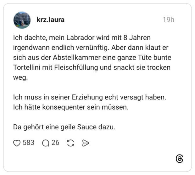 Ich dachte, mein Labrador wird mit 8 Jahren irgendwann endlich vernünftig. Aber dann klaut er sich aus der Abstellkammer eine ganze Tüte bunte Tortellini mit Fleischfüllung und snackt sie trocken weg. Ich muss in seiner Erziehung echt versagt haben. Ich hätte konsequenter sein müssen. Da gehört eine geile Sauce dazu.