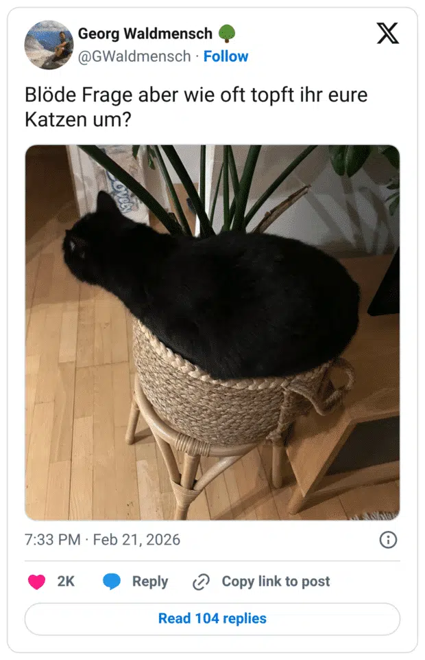 Blöde Frage aber wie oft topft ihr eure Katzen um?