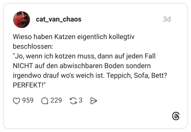Wieso haben Katzen eigentlich kollegtiv beschlossen: "Jo, wenn ich kotzen muss, dann auf jeden Fall NICHT auf den abwischbaren Boden sondern irgendwo drauf wo's weich ist. Teppich, Sofa, Bett? PERFEKT!"