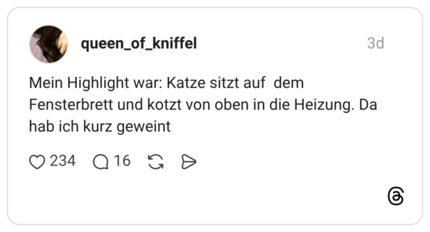 Mein Highlight war: Katze sitzt auf dem Fensterbrett und kotzt von oben in die Heizung. Da hab ich kurz geweint