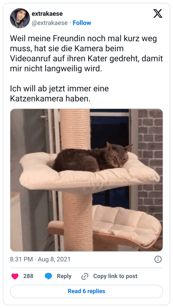 Weil meine Freundin noch mal kurz weg muss, hat sie die Kamera beim Videoanruf auf ihren Kater gedreht, damit mir nicht langweilig wird. Ich will ab jetzt immer eine Katzenkamera haben.